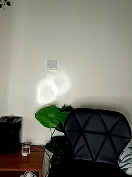 Nedambale online show from April 2026 07:29:01 PM