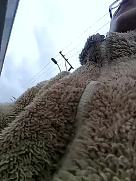 Engeelll online show from March 2026 06:11:02 PM