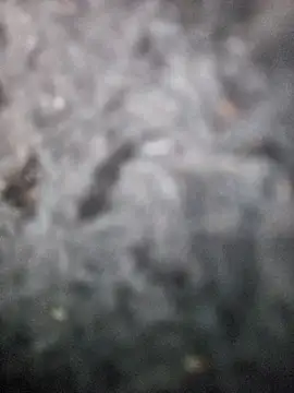 Romance32 online show from November 2025 07:31:01 AM