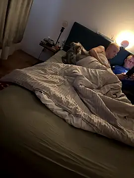 Jaropol online show from January 2026 06:40:01 AM