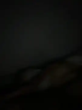 Smallboybigworld online show from February 2026 09:42:01 PM