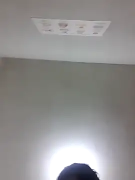 luislimafuego online show from February 2026 03:57:02 AM