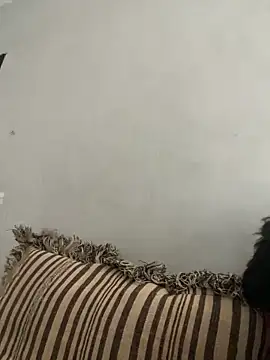 NoddingScorpion online show from November 2025 08:35:02 AM