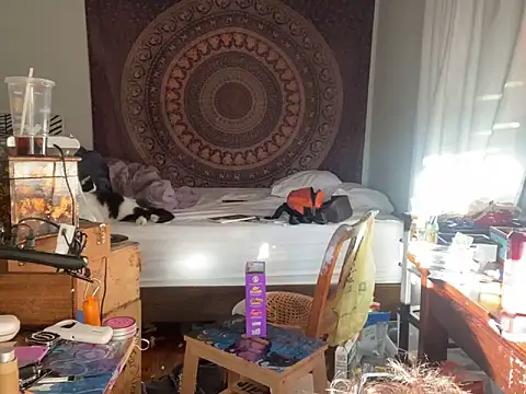 XanderOzzz online show from November 2025 09:48:02 PM