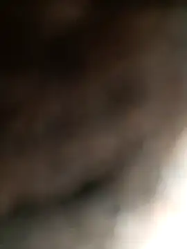 Hat-Raja77 online show from November 2025 04:33:02 AM