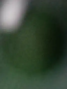 Punam ji online show from October 2025 07:12:02 AM