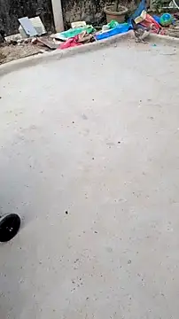 smallcuute online show from March 2026 01:00:01 AM