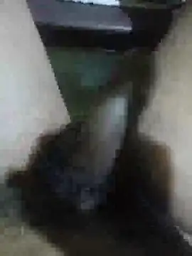 Snapshot of Vizgeboys chatting on February 2026 09:43:02 AM Vizgeboys online show from February 2026 09:43:02 AM