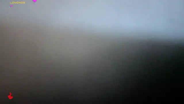 Alexander ferre online show from February 2026 01:32:02 PM