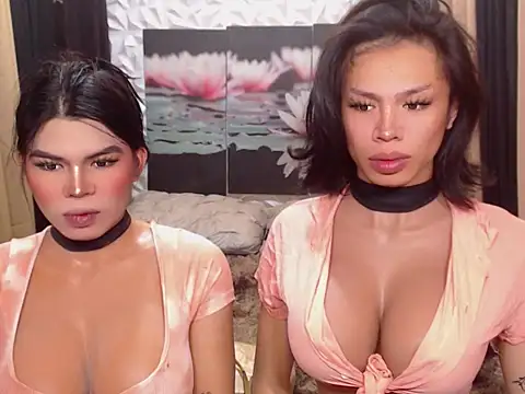 WILDROXIE online show from December 2025 04:17:01 AM