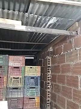 hoteder online show from February 2026 10:09:01 AM