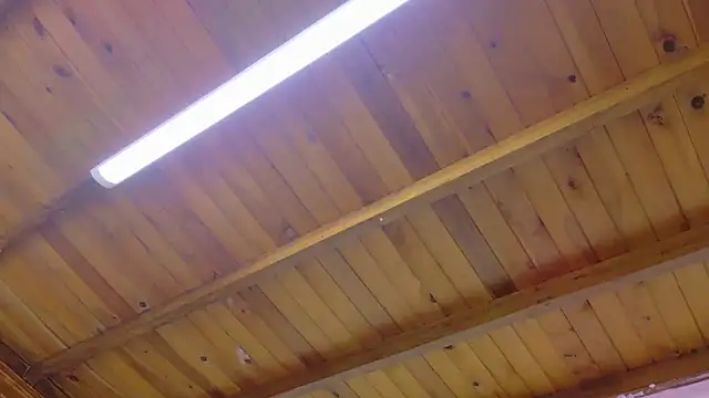 Lizbeth Rouse online show from January 2026 10:42:02 AM