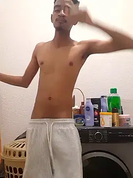 gemini loops online show from January 2026 06:22:01 PM