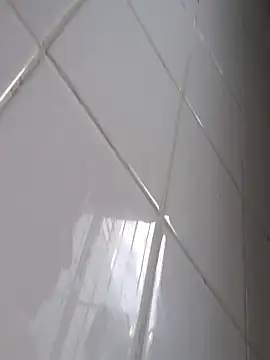 bibi perigoBr online show from November 2025 04:20:02 PM