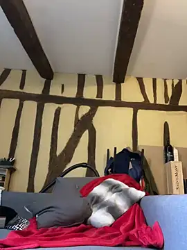 Toto-pika online show from March 2026 08:53:02 AM