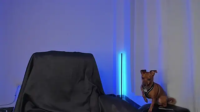 nathan blake online show from December 2025 07:32:01 PM