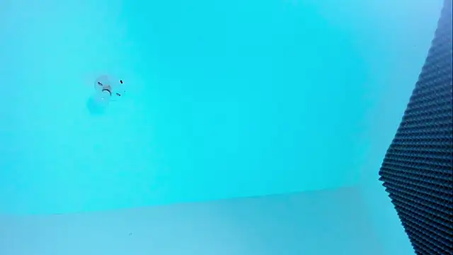 Snapshot of Ellope_ chatting on October 2025 11:04:02 PM Ellope online show from October 2025 11:04:02 PM