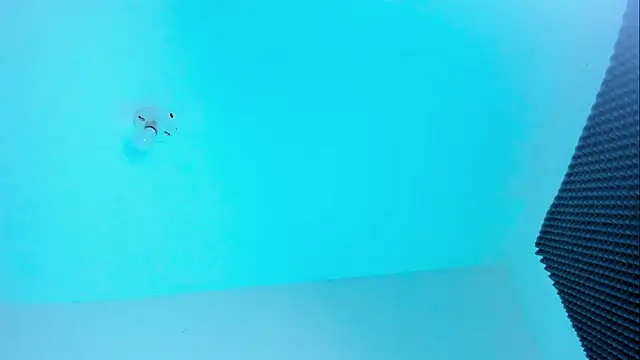 Im naho online show from October 2025 11:04:02 PM