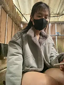 PhanHaa online show from January 2026 12:48:01 AM