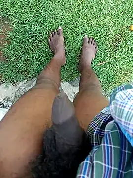 dolphiinn online show from November 2025 02:33:01 AM