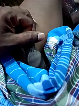 dolphiinn online show from November 2025 01:37:02 AM