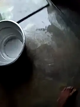 dolphiinn online show from November 2025 01:08:02 AM