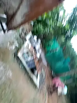 dolphiinn online show from November 2025 01:41:02 AM