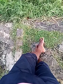 dolphiinn online show from December 2025 01:03:01 AM