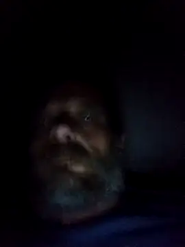 Potch8duim online show from October 2025 07:55:01 PM