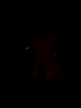 Potch8duim online show from November 2025 07:49:02 PM