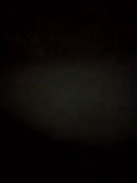 RevokingWaverer online show from February 2026 12:10:02 PM