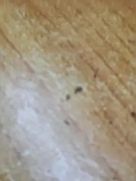 Markroco696 online show from October 2025 03:09:02 PM