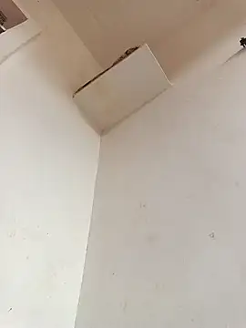 Dikchahot online show from November 2025 10:26:01 AM