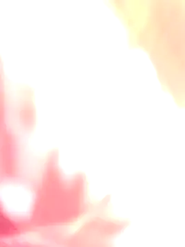 Dikchahot online show from December 2025 05:24:02 AM