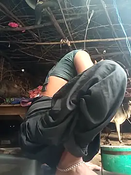 cute diya 12 online show from November 2025 02:22:02 AM