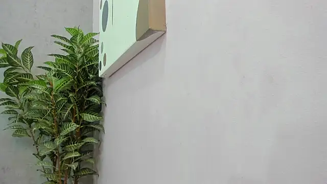 scarlett646 online show from December 2025 03:12:02 AM