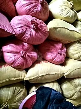 Sa2mh20 online show from December 2025 02:39:01 AM