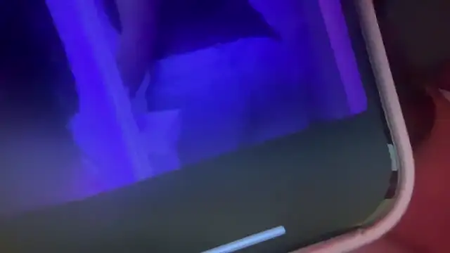 bunnytentacion online show from November 2025 05:07:01 AM