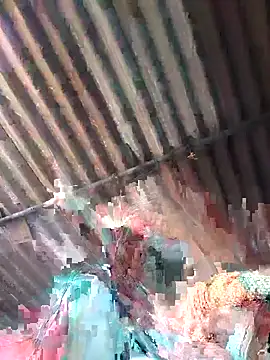 Sexy queeny online show from October 2025 03:56:02 AM