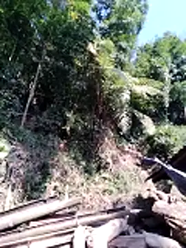 miss-su online show from February 2026 07:46:02 AM