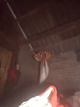  YooY  online show from December 2025 11:34:02 PM