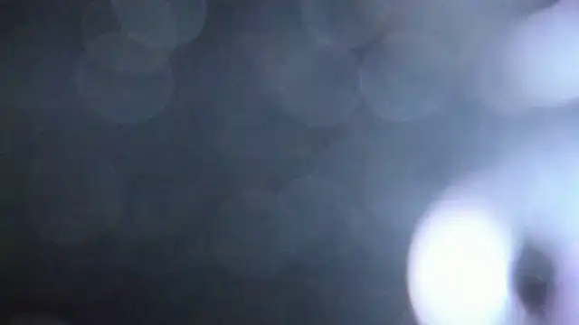 Snapshot of Luna_Analya chatting on February 2026 01:38:01 PM Luna Analya online show from February 2026 01:38:01 PM