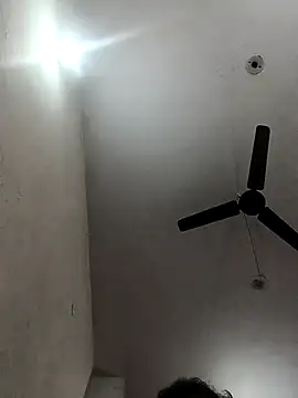 Appypie online show from November 2025 05:39:01 AM