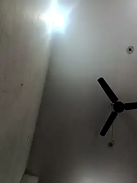 Appypie online show from December 2025 05:34:01 AM