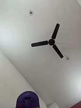 Appypie online show from January 2026 06:35:02 PM