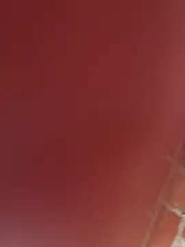 RAKEL37 online show from November 2025 04:18:02 PM