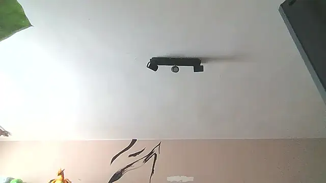   Leyla   online show from January 2026 12:21:02 PM