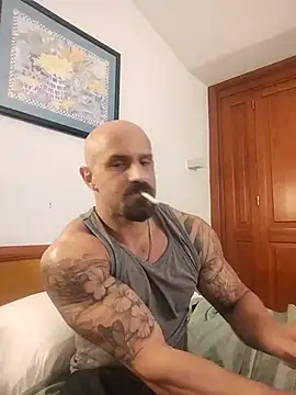 Visto36 online show from July 2026 09:53:02 PM