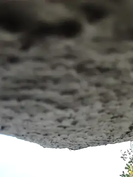 Snapshot of AnanyaKapoor89 chatting on November 2025 02:43:02 AM AnanyaKapoor89 online show from November 2025 02:43:02 AM