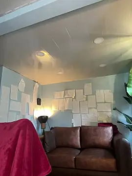 Snapshot of Canneela chatting on February 2026 12:46:02 PM Canneela online show from February 2026 12:46:02 PM